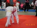 judo_20130216_sfb10