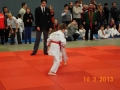 judo_20130216_sfb03