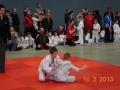 judo_20130216_sfb04