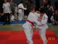 judo_20130216_sfb07