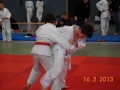judo_20130216_sfb08