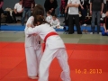 judo_20130216_sfb09