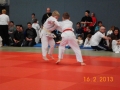judo_20130216_sfb12