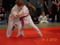 judo_20130216_sfb15