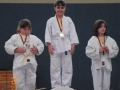 judo_20130216_sfb17