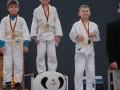 judo_20130216_sfb18