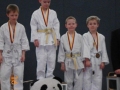judo_20130216_sfb20