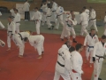 dsc08947-medium