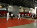 dsc09042-medium