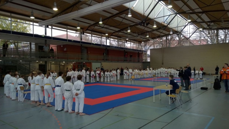 WP_20141115_10_11_01_Pro