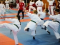 IMG_6723.JPG