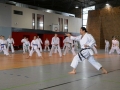 dscv2_12188