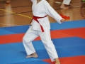IMG_9382.JPG