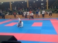 Lena Kick